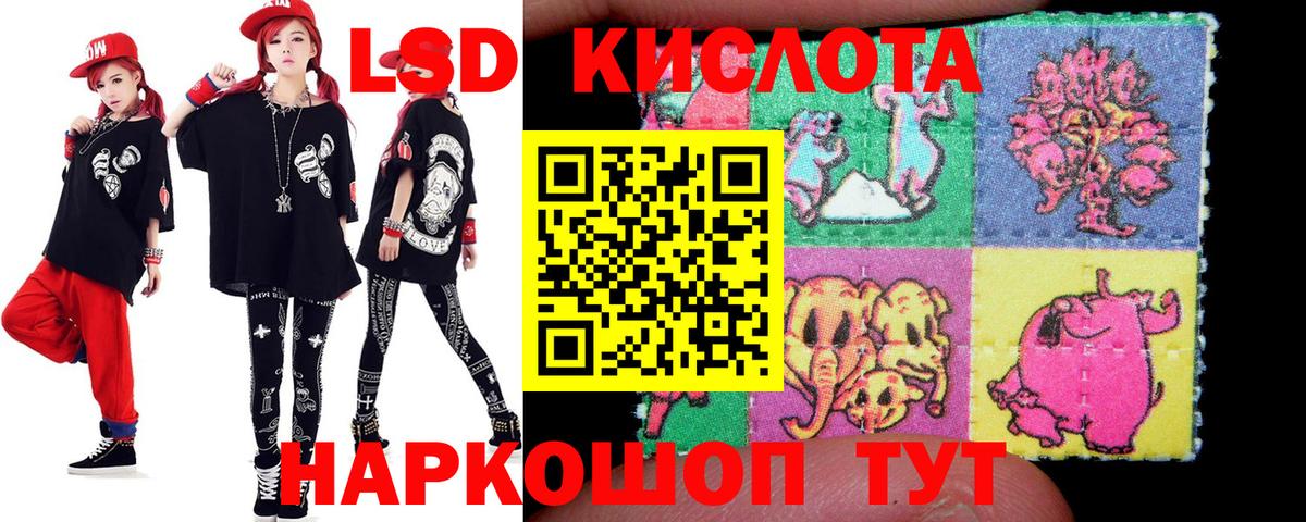 Сокол  Лсд 25 экстази ecstasy  Лсд 25 экстази кислота  Вход с VPN 