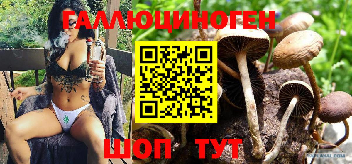 наркота  Вход с VPN  Сокол  Псилоцибиновые грибы прущие грибы  Псилоцибиновые грибы Magic Shrooms 